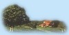 frischli - ein Jahrhundert Milch und mehr